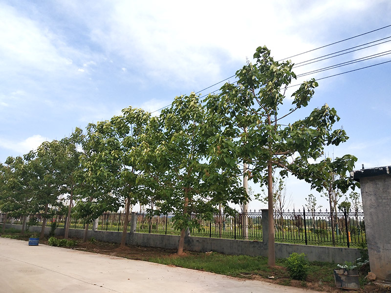 濟寧市大氣環(huán)境質(zhì)量2015年12月份13縣市區(qū)排名